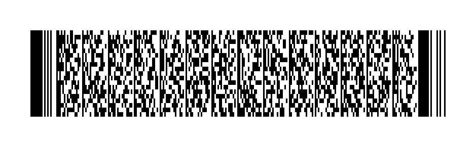 Sample PDF417 license barcode